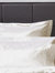 Belledorm Ultralux 1000 Thread Count Oxford Pillowcase (Ivory) (One Size) - Ivory
