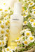 Chamomile PH-Balanced Lotion