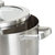 Graphite Recycled 18/10 Stainless Steel Stockpot 8", 3.6qt. With Glass Lid