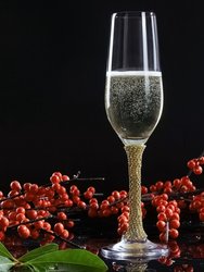 Berkware Champagne Glasses Set of 2