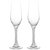 Champagne Glasses Set of 2 