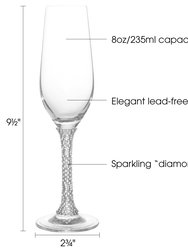 Champagne Glasses Set of 2 