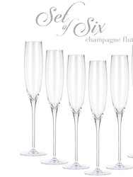 Classic Sparkling Champagne Glass, Set Of 6