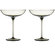 Set of 2 Luxurious and Elegant Coupe Cocktail Glass