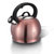 Stainless Steel Kettle 3.2 qt