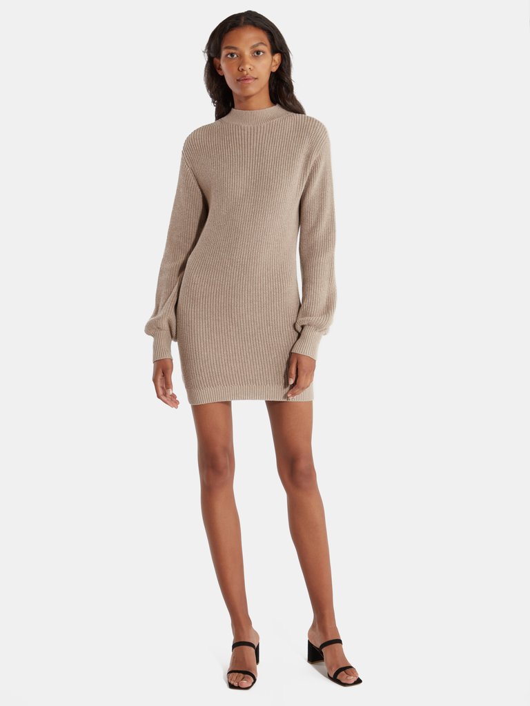 Rosa Mock Neck Mini Sweater Dress