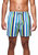 Crush Stripe II Shorts - Multi
