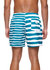 Double Stripe II Shorts