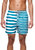 Double Stripe II Shorts - Teal/White