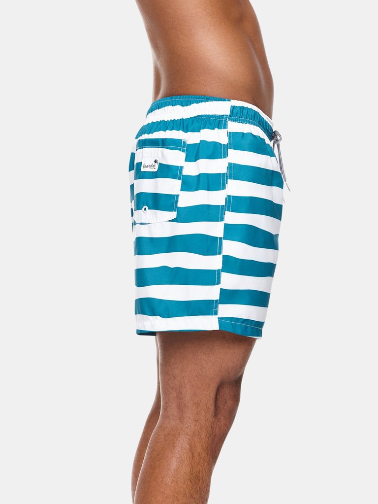 Double Stripe Swim Shorts