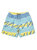 Fresh Prince Mint Shorts - Mint