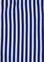Kids Deck Stripe III Shorts - Blue/White