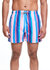 Sundown Stripe Shorts - Multi
