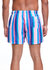 Sundown Stripe Shorts