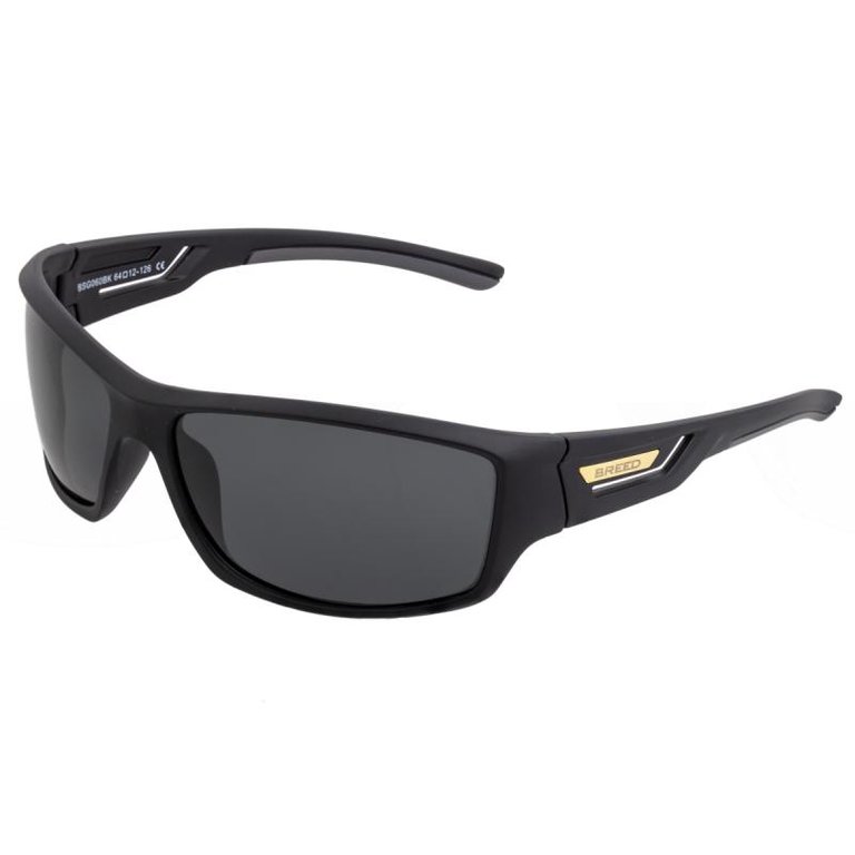 Breed Aquarius Polarized Sunglasses - Black/Black