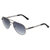 Breed Leo Titanium Polarized Sunglasses - Gunmetal/Black