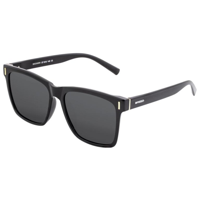 Pictor Polarized Sunglasses - Black/Black
