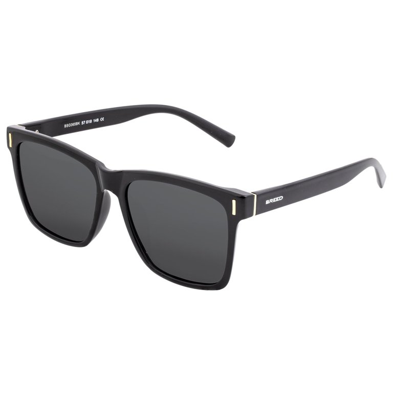 Pictor Polarized Sunglasses