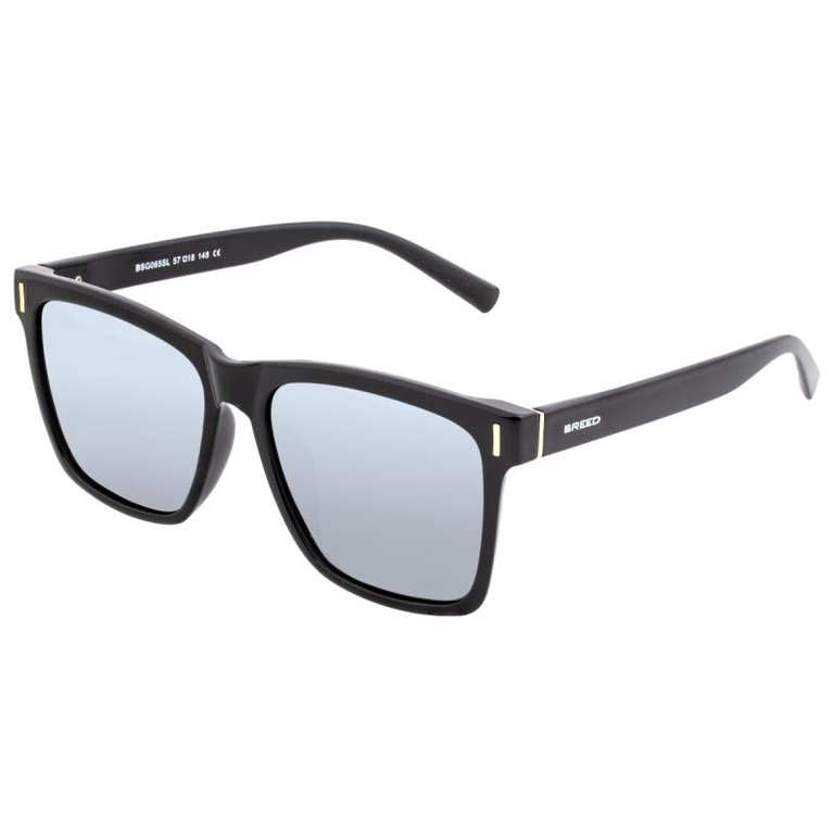 Pictor Polarized Sunglasses - Black/Silver