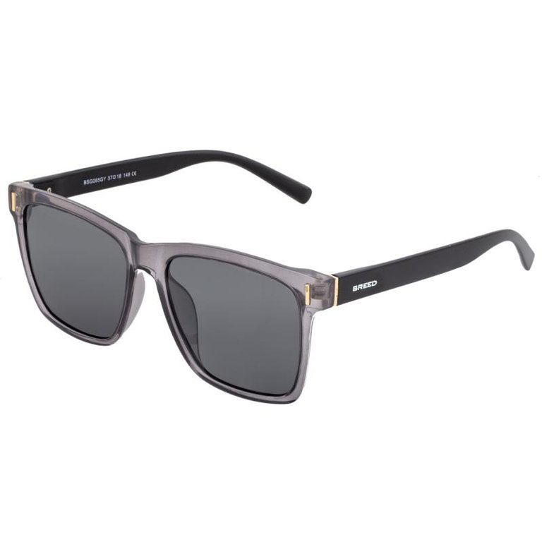 Pictor Polarized Sunglasses - Grey/Black