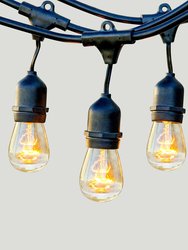 Ambience Pro Incandescent String Lights - S14 Bulb, 11W, 24 Ft - Black