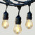Ambience Pro LED String Lights - S14, 2W - Neutral White
