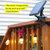Ambience Pro Solar LED String Lights - S14, 2W, 27 Ft