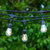 Ambience Solar Filament Hanging String Lights - S14, 3000K