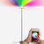 Sky Color Changing Torchiere LED Floor Lamp