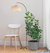 Wave Pendant LED Floor Lamp