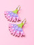 Cosmos Flower Earrings in Pink