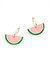 Watermelon Slice Earrings - Watermelon