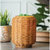 Wicker Lantern Illumination Fragrance Warmer