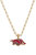 Arkansas Razorbacks Enamel Pendant Necklace - Cardinal