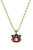 Auburn Tigers Enamel Pendant Necklace - Navy & Burnt Orange