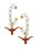 Texas Longhorns Pearl Hoop Enamel Drop Earrings - Burnt Orange