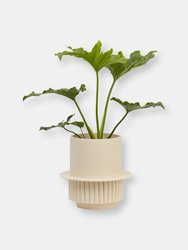 Roma Planter