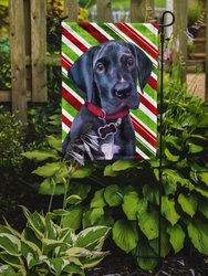 11 x 15 1/2 in. Polyester Black Great Dane Puppy Candy Cane Holiday Christmas Garden Flag 2-Sided 2-Ply