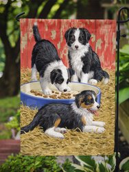 11 x 15 1/2 in. Polyester Border Collie Pups Garden Flag 2-Sided 2-Ply