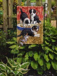 11 x 15 1/2 in. Polyester Border Collie Pups Garden Flag 2-Sided 2-Ply