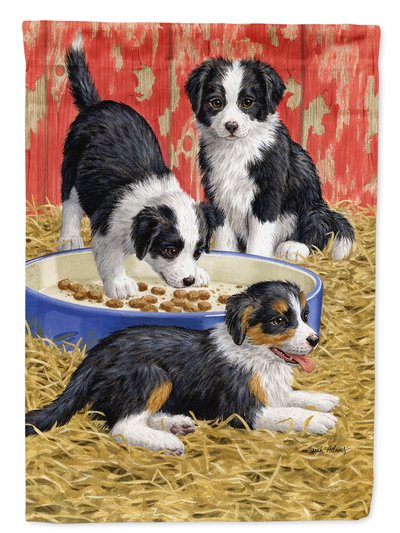 Caroline's Treasures 11 x 15 1/2 in. Polyester Border Collie Pups Garden Flag 2-Sided 2-Ply product
