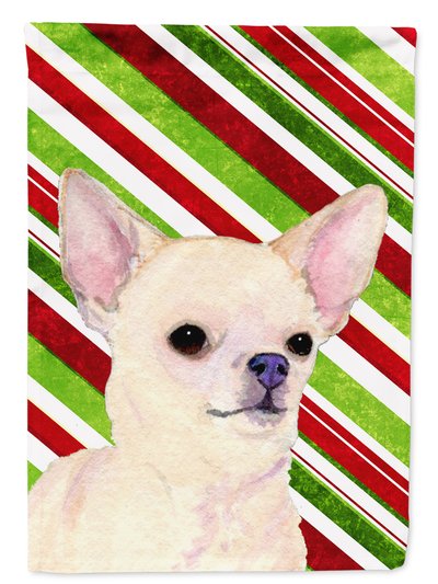 Caroline's Treasures 11 x 15 1/2 in. Polyester Chihuahua Candy Cane Holiday Christmas Garden Flag 2-Sided 2-Ply product