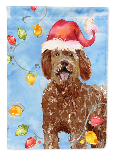 Caroline's Treasures 11 x 15 1/2 in. Polyester Christmas Lights Labradoodle Garden Flag 2-Sided 2-Ply product