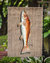 11 x 15 1/2 in. Polyester Fish Red Fish  on Faux Burlap Garden Flag 2-Sided 2-Ply