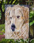 11 x 15 1/2 in. Polyester Golden Retriver Contemplation Garden Flag 2-Sided 2-Ply