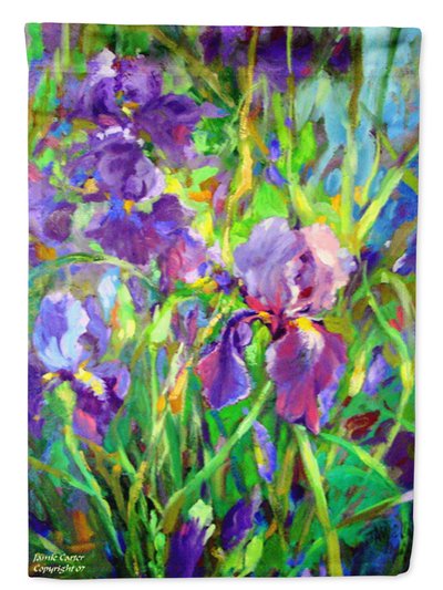 Caroline's Treasures 11 x 15 1/2 in. Polyester Iris by the Well Garden Flag 2-Sided 2-Ply product