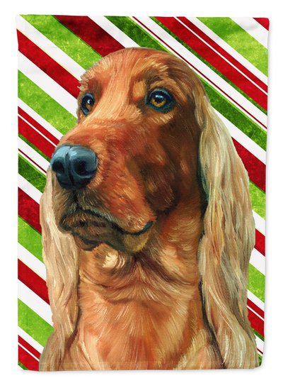 Caroline's Treasures 11 x 15 1/2 in. Polyester Irish Setter Candy Cane Holiday Christmas Garden Flag 2-Sided 2-Ply product