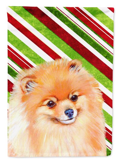 Caroline's Treasures 11 x 15 1/2 in. Polyester Pomeranian Candy Cane Holiday Christmas Garden Flag 2-Sided 2-Ply product