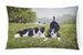 12 in x 16 in  Outdoor Throw Pillow Let's Play Border Collie Canvas Fabric Decorative Pillow