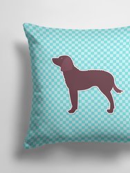 14 in x 14 in Outdoor Throw PillowAmerican Water Spaniel  Checkerboard Blue Fabric Decorative Pillow